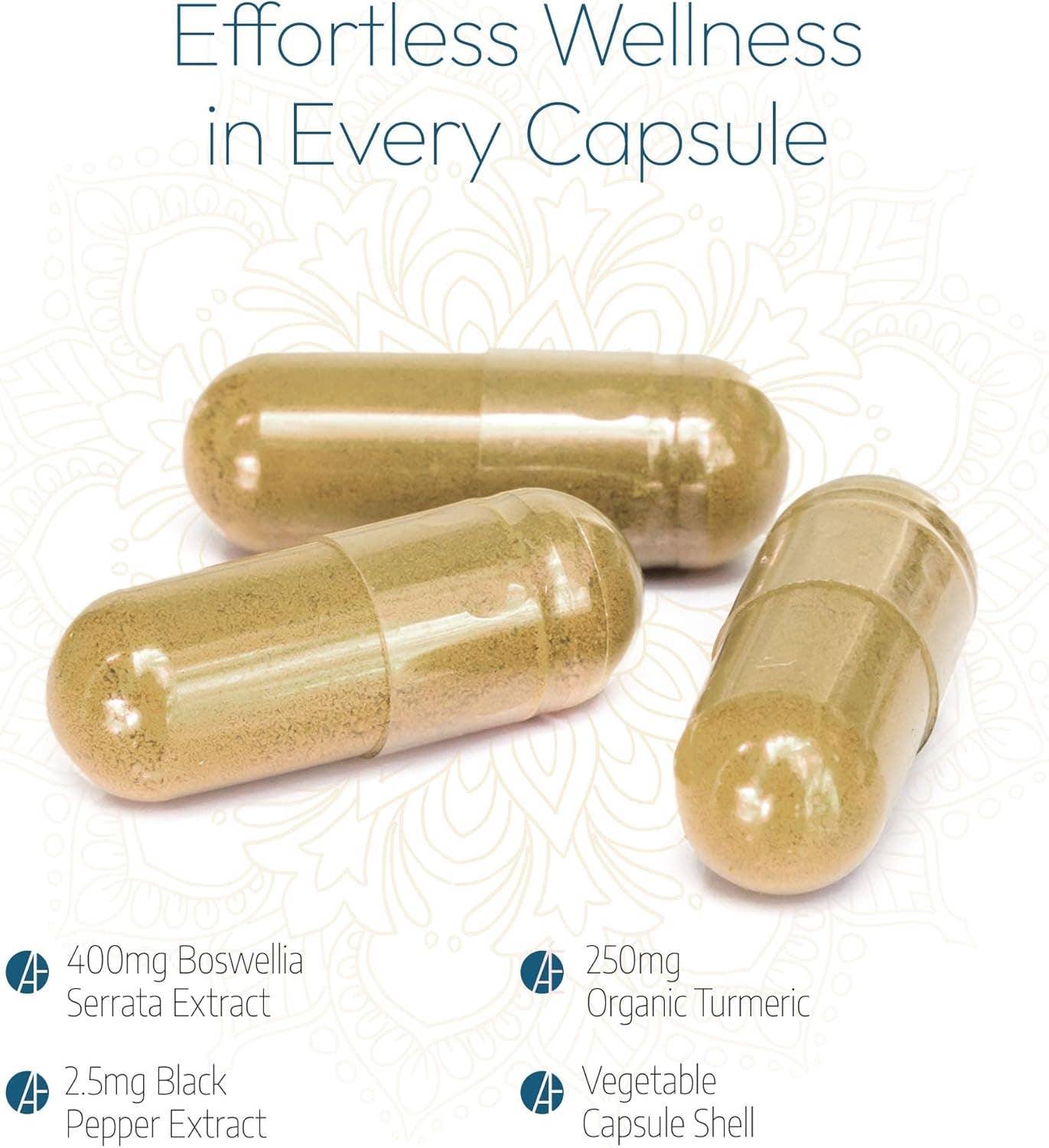 Boswellia Serrata + Turmeric | 60 Vegan Capsules
