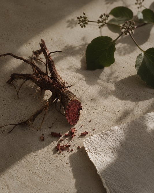 Manjistha - Rubia cordifolia — the cleanser of the blood