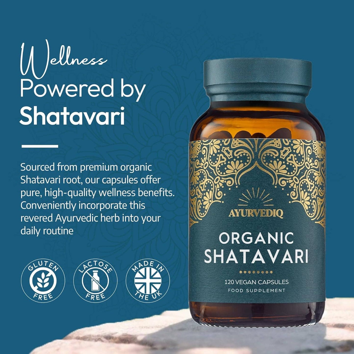 Organic Shatavari | 120 Vegan Capsules