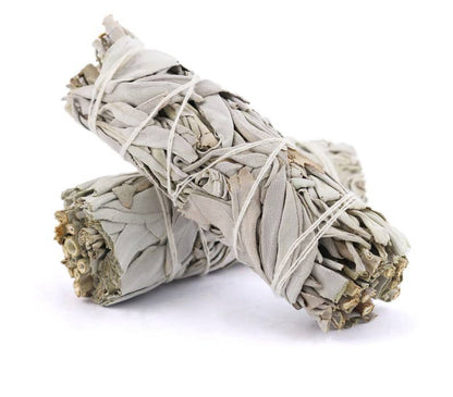 Organic White Sage Smudge Stick