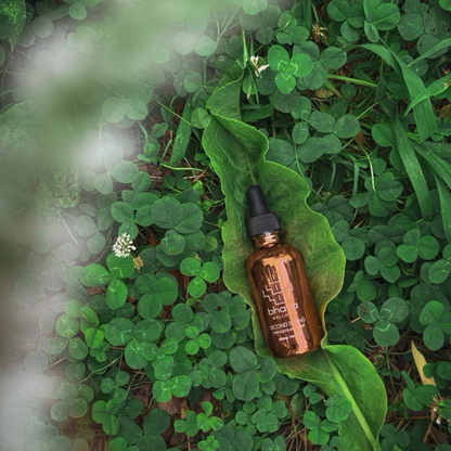 Second Spring Menopause Relief Herbal Tincture