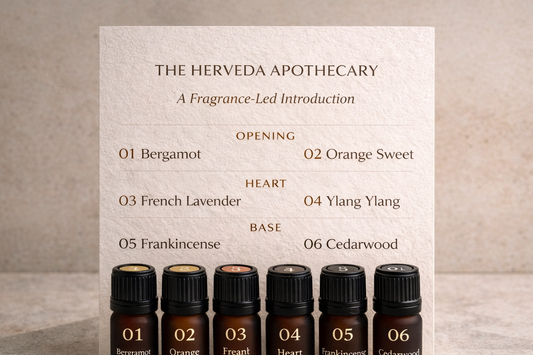 Essential Oil Discovery Set — Founder’s Selection