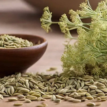 Daily Digestive Herbal Tincture