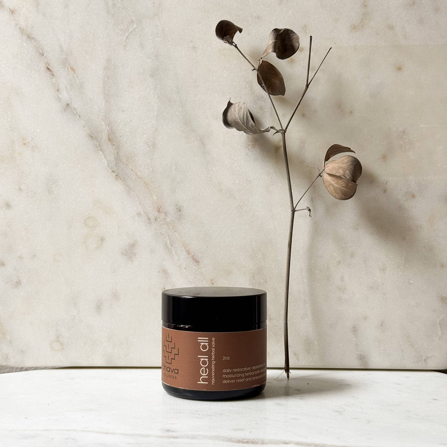 Heal All Herbal Salve