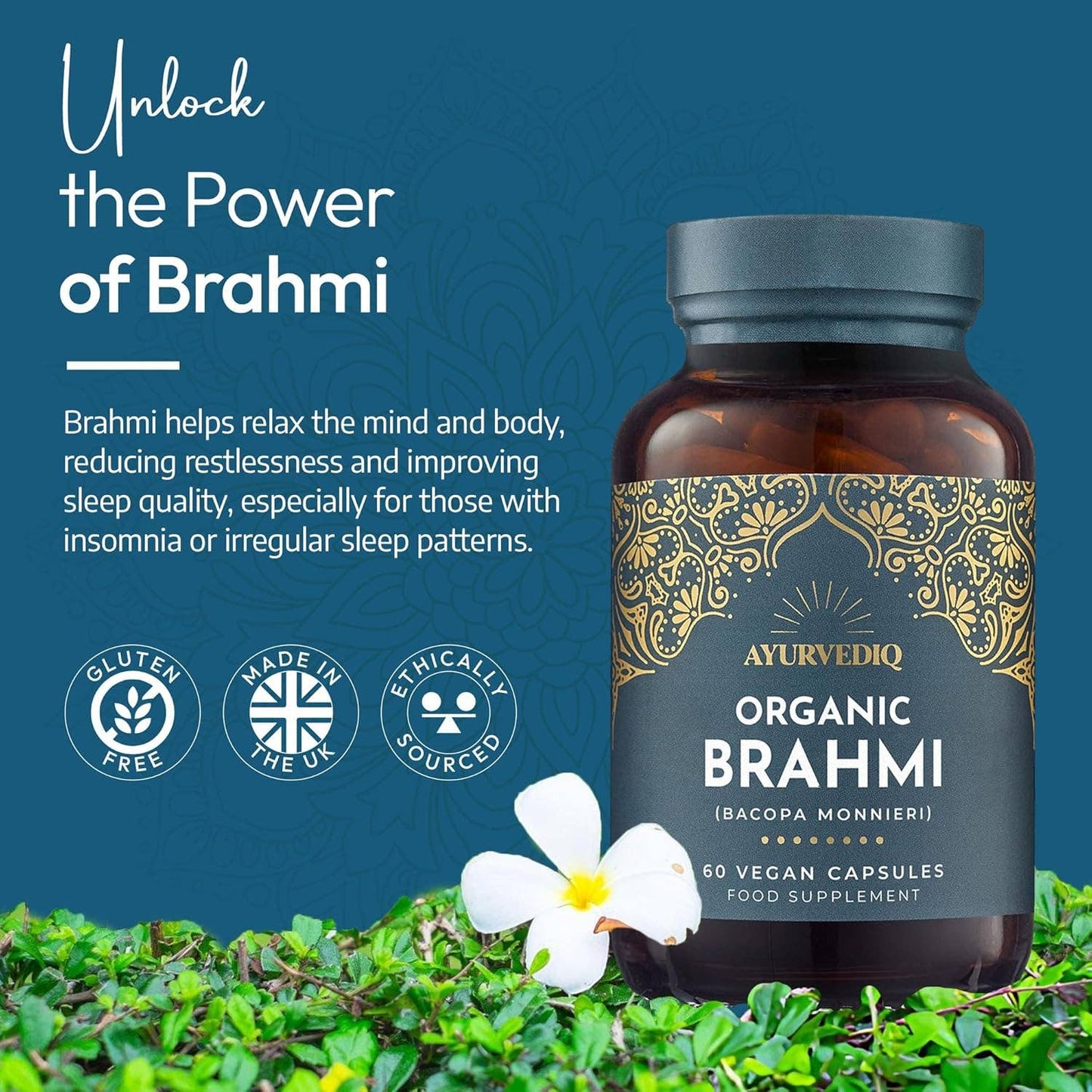 Organic Brahmi | 60 Vegan Capsules